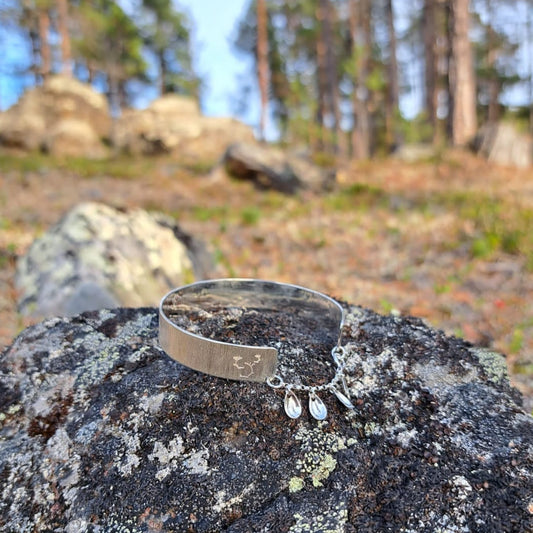 Váimmueana rannerengas